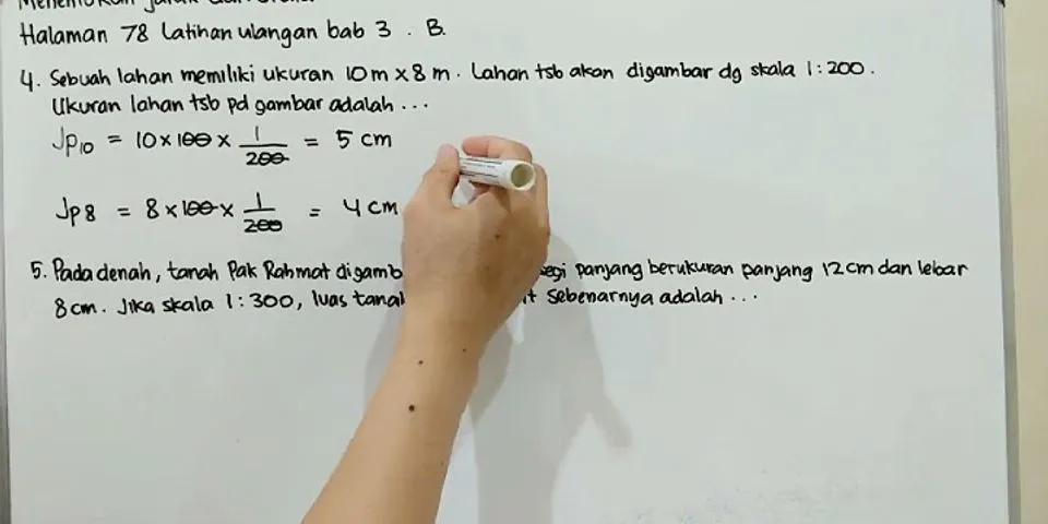 Detail Gambar Bentuk Persegi Panjang Nomer 45