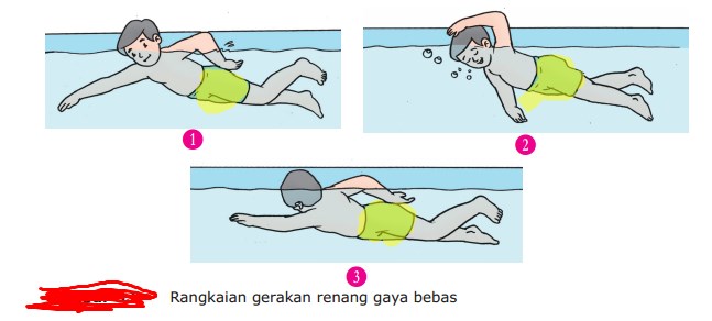 Detail Gambar Berenang Gaya Bebas Nomer 29