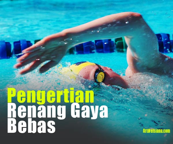 Detail Gambar Berenang Gaya Bebas Nomer 45