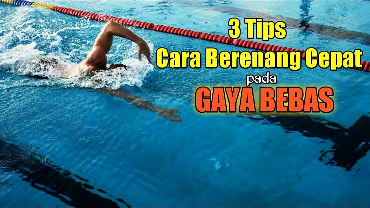 Detail Gambar Berenang Gaya Bebas Nomer 48