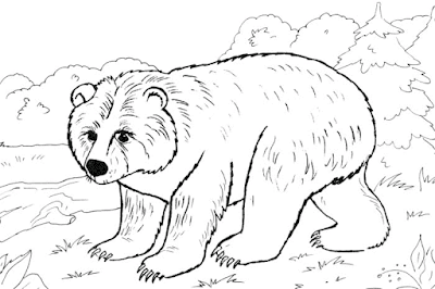 Detail Gambar Beruang Putih Untuk Diwarnai Nomer 6