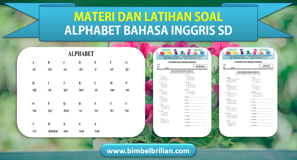 Detail Gambar Bimber Bahasa Ingris Anak Sd Nomer 10