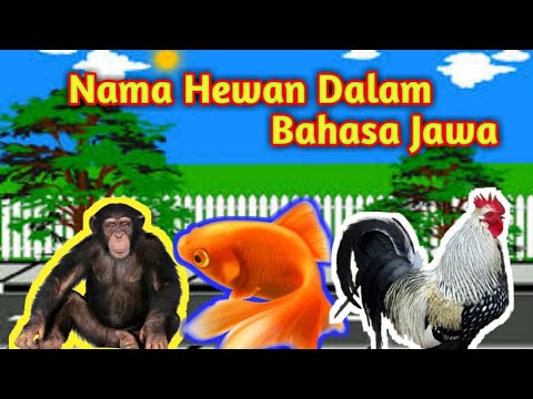 Detail Gambar Binatang Lucu Bahasa Jawa Nomer 7