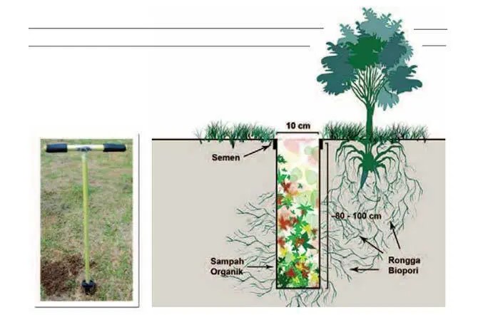 Detail Gambar Biopori Peresapan Nomer 23