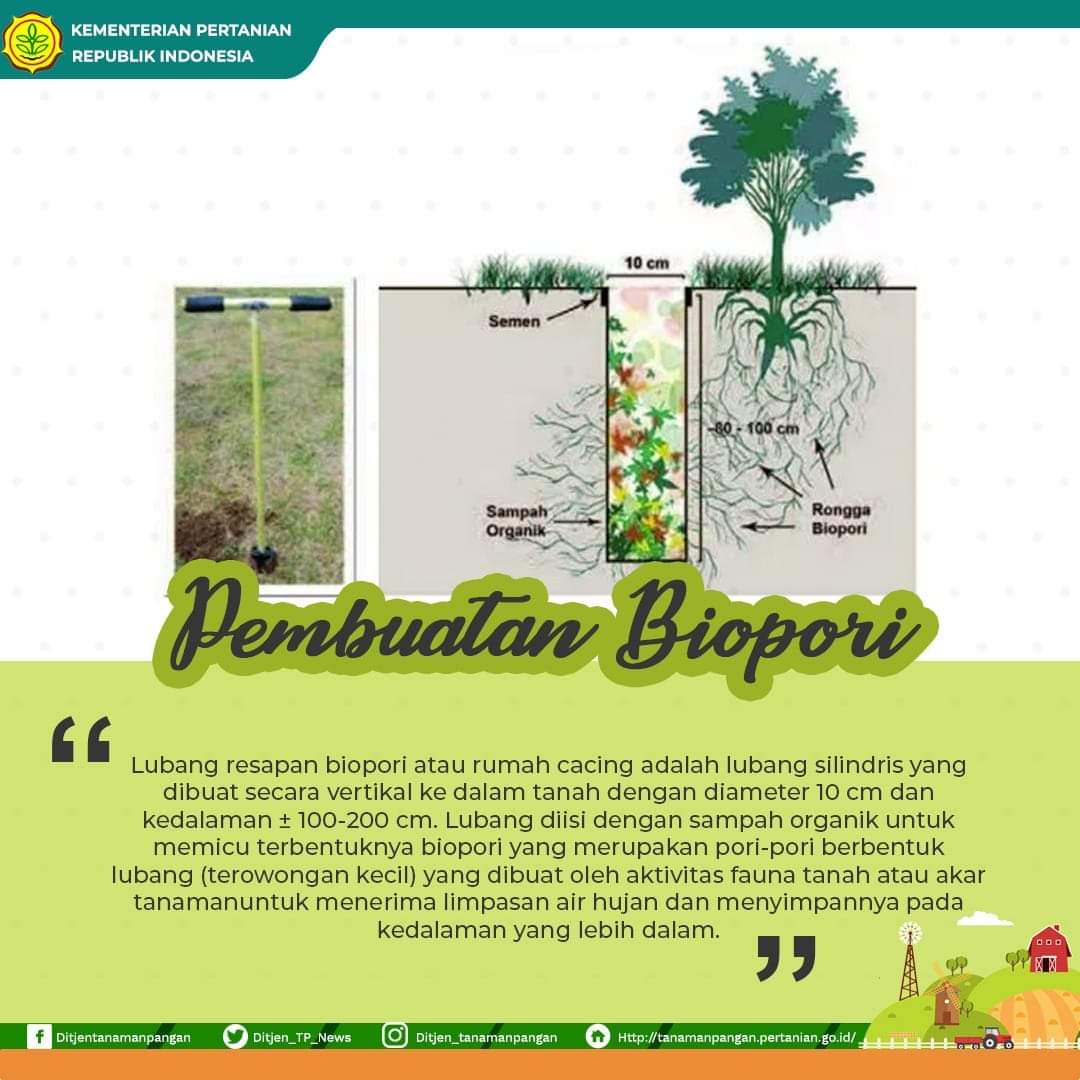 Detail Gambar Biopori Peresapan Nomer 40