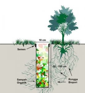 Detail Gambar Biopori Peresapan Nomer 7