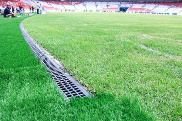 Detail Gambar Bola Di Lapangan Stadion Nomer 23