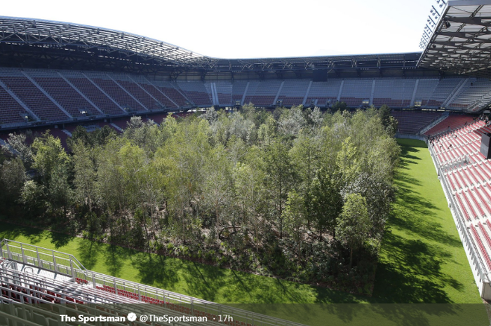 Detail Gambar Bola Di Lapangan Stadion Nomer 34