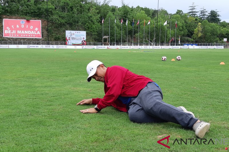 Detail Gambar Bola Di Lapangan Stadion Nomer 44