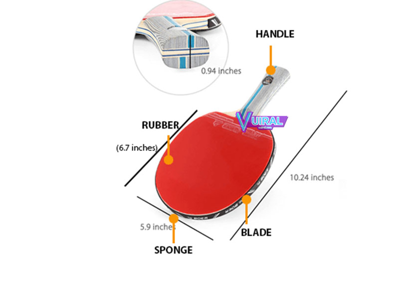 Detail Gambar Bola Tenis Meja Beserta Ukurannya Nomer 25