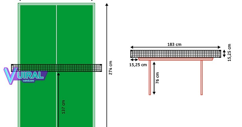 Detail Gambar Bola Tenis Meja Beserta Ukurannya Nomer 28