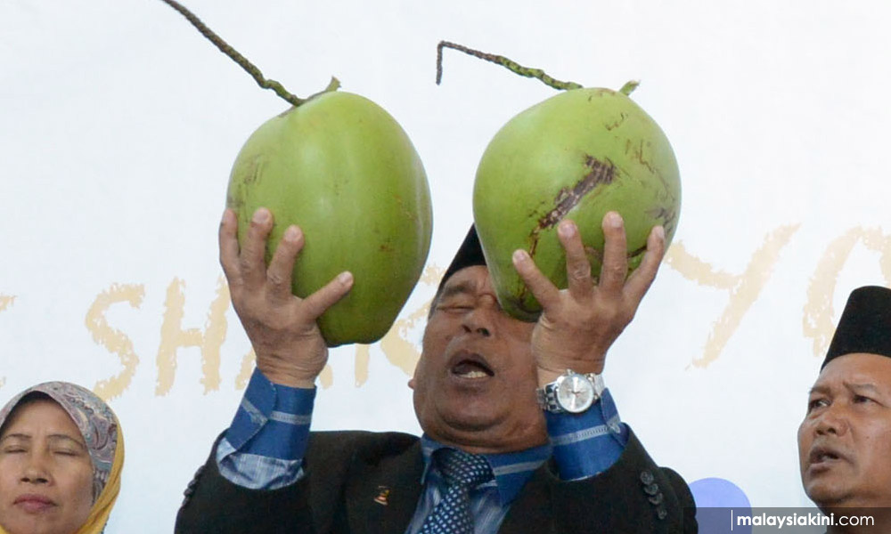 Detail Gambar Bomoh Kelapa Nomer 4