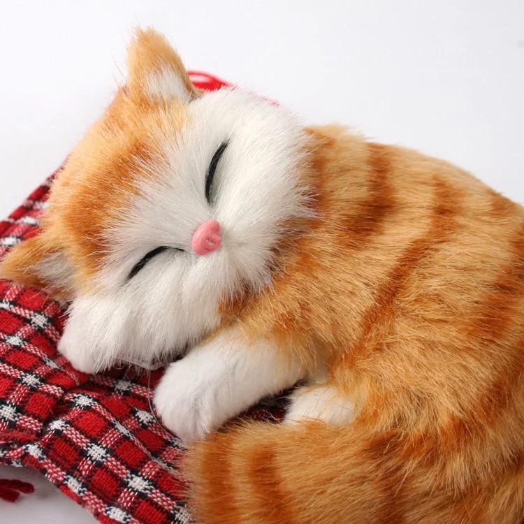 Detail Gambar Boneka Kucing Nomer 6