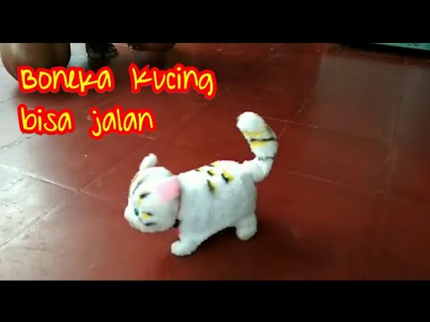 Detail Gambar Boneka Kucing Lucu Nomer 48