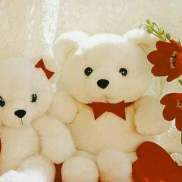 Detail Gambar Boneka Lucu Imut Nomer 38