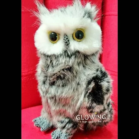 Detail Gambar Boneka Owl Nomer 46