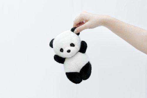 Detail Gambar Boneka Panda Animasi Nomer 19