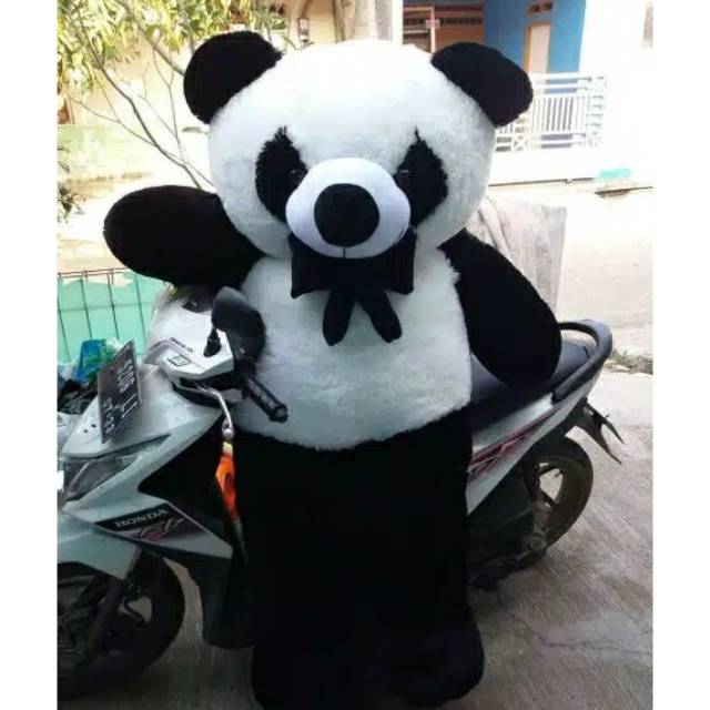 Detail Gambar Boneka Panda Besar Nomer 6