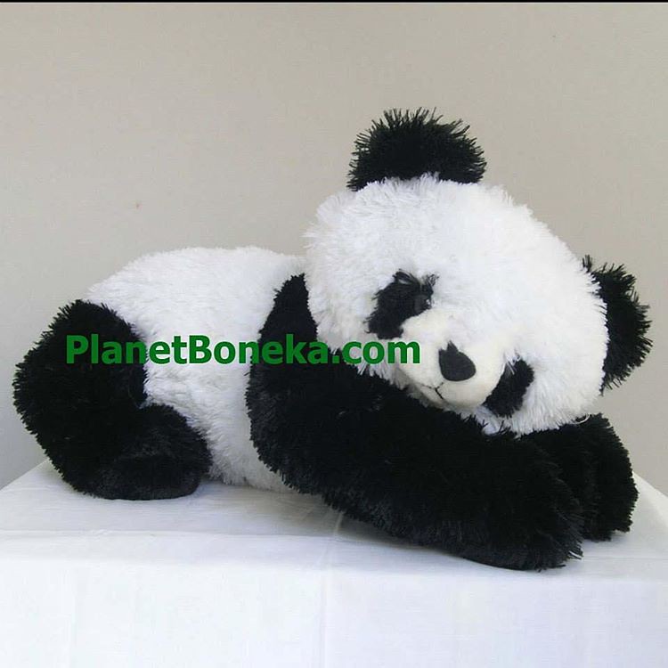 Detail Gambar Boneka Panda Yang Lucu Nomer 38