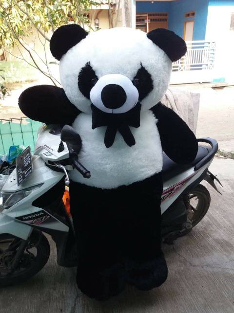Detail Gambar Boneka Panda Yg Besar Nomer 30
