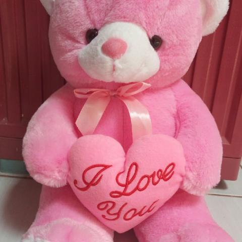 Detail Gambar Boneka Pink Nomer 18