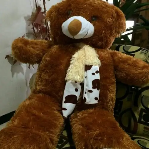 Detail Gambar Boneka Teddy Bear Besar Lucu Nomer 28