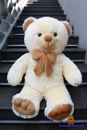 Detail Gambar Boneka Teddy Bear Besar Lucu Nomer 8