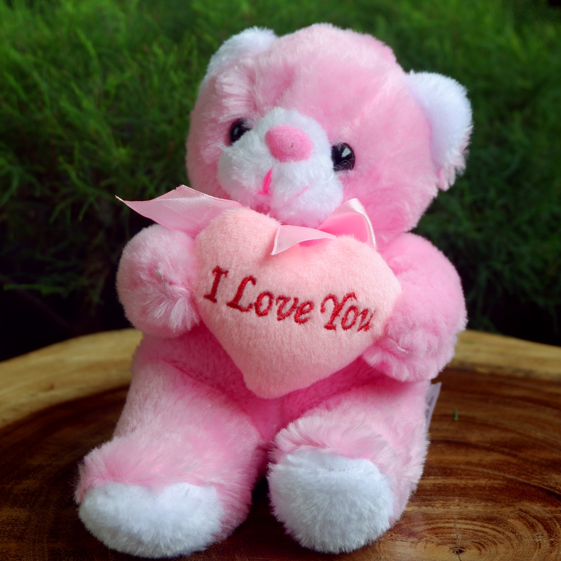 Detail Gambar Boneka Teddy Bear Warna Pink Nomer 10