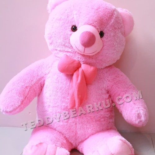 Detail Gambar Boneka Teddy Bear Warna Pink Nomer 18