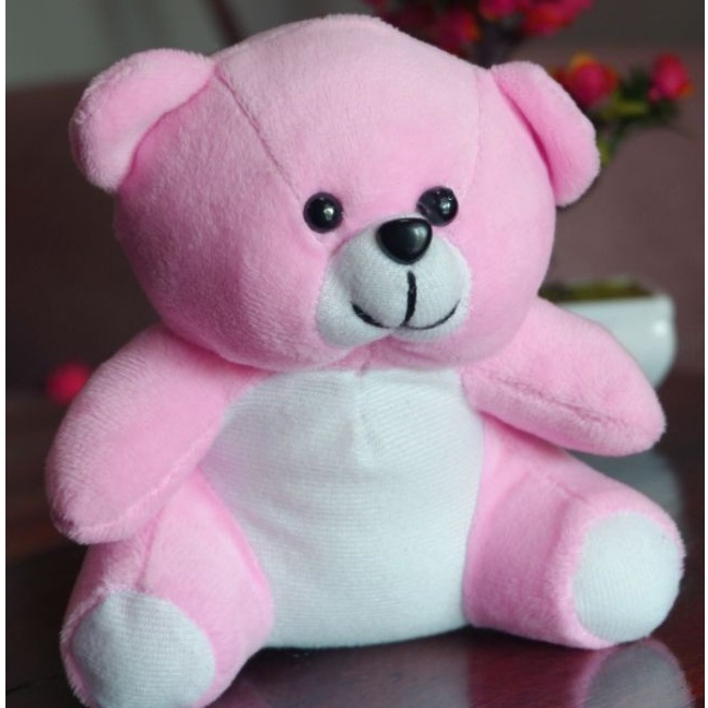 Detail Gambar Boneka Teddy Bear Warna Pink Nomer 26