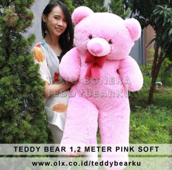 Detail Gambar Boneka Teddy Bear Warna Pink Nomer 38