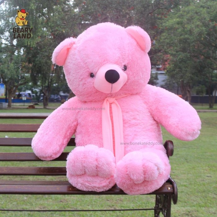Detail Gambar Boneka Teddy Bear Warna Pink Nomer 42