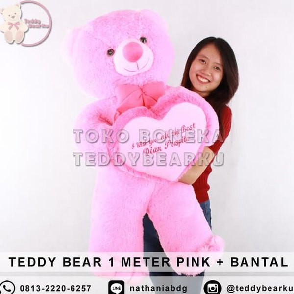 Detail Gambar Boneka Teddy Bear Warna Pink Nomer 46