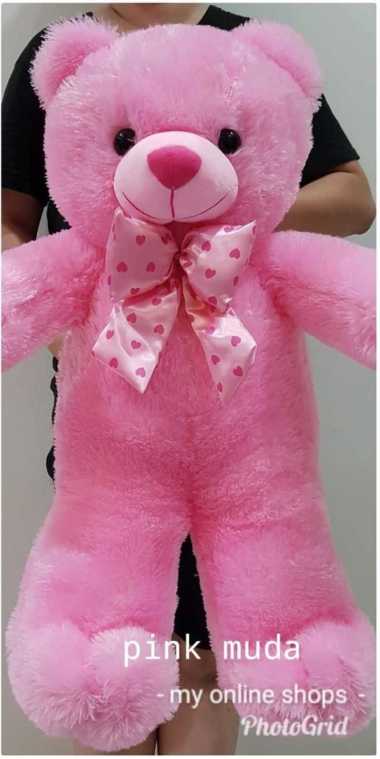 Detail Gambar Boneka Teddy Bear Warna Pink Nomer 49