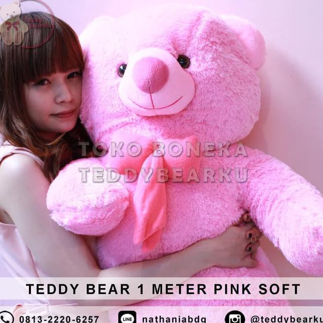 Detail Gambar Boneka Teddy Bear Warna Pink Nomer 53