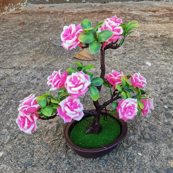 Detail Gambar Bonsai Bunga Mawar Nomer 16