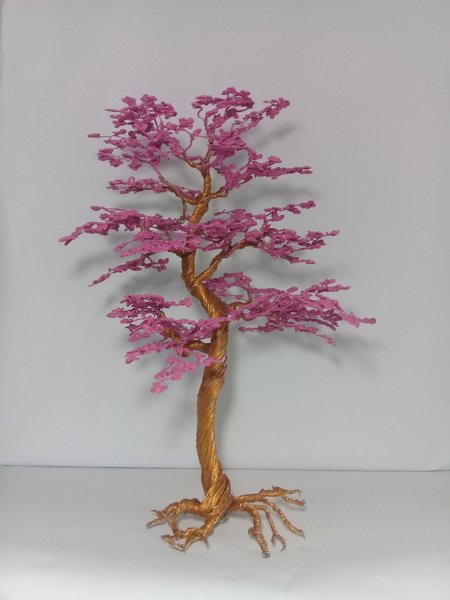 Detail Gambar Bonsai Bunga Sakura Nomer 42