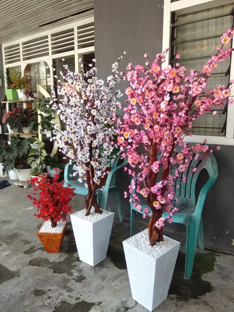 Detail Gambar Bonsai Bunga Sakura Nomer 44