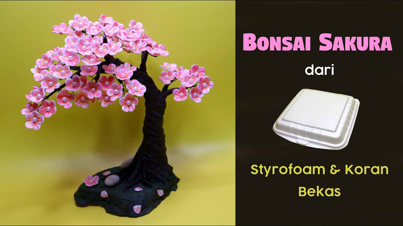 Detail Gambar Bonsai Bunga Sakura Nomer 53