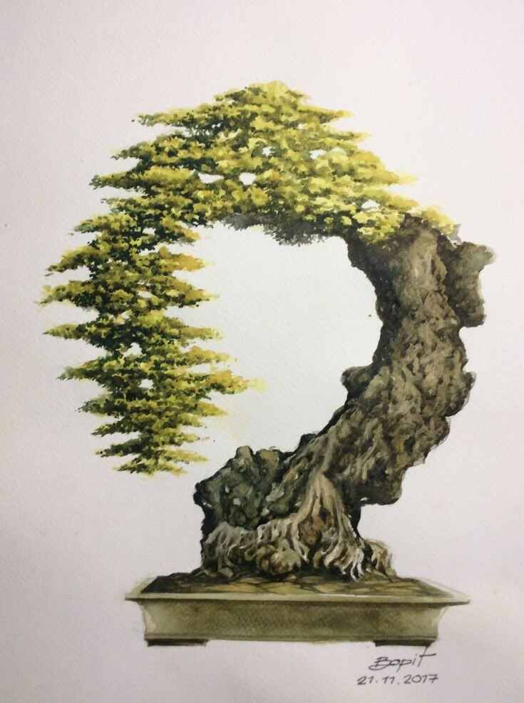 Detail Gambar Bonsai Gaya Air Terjun Nomer 20