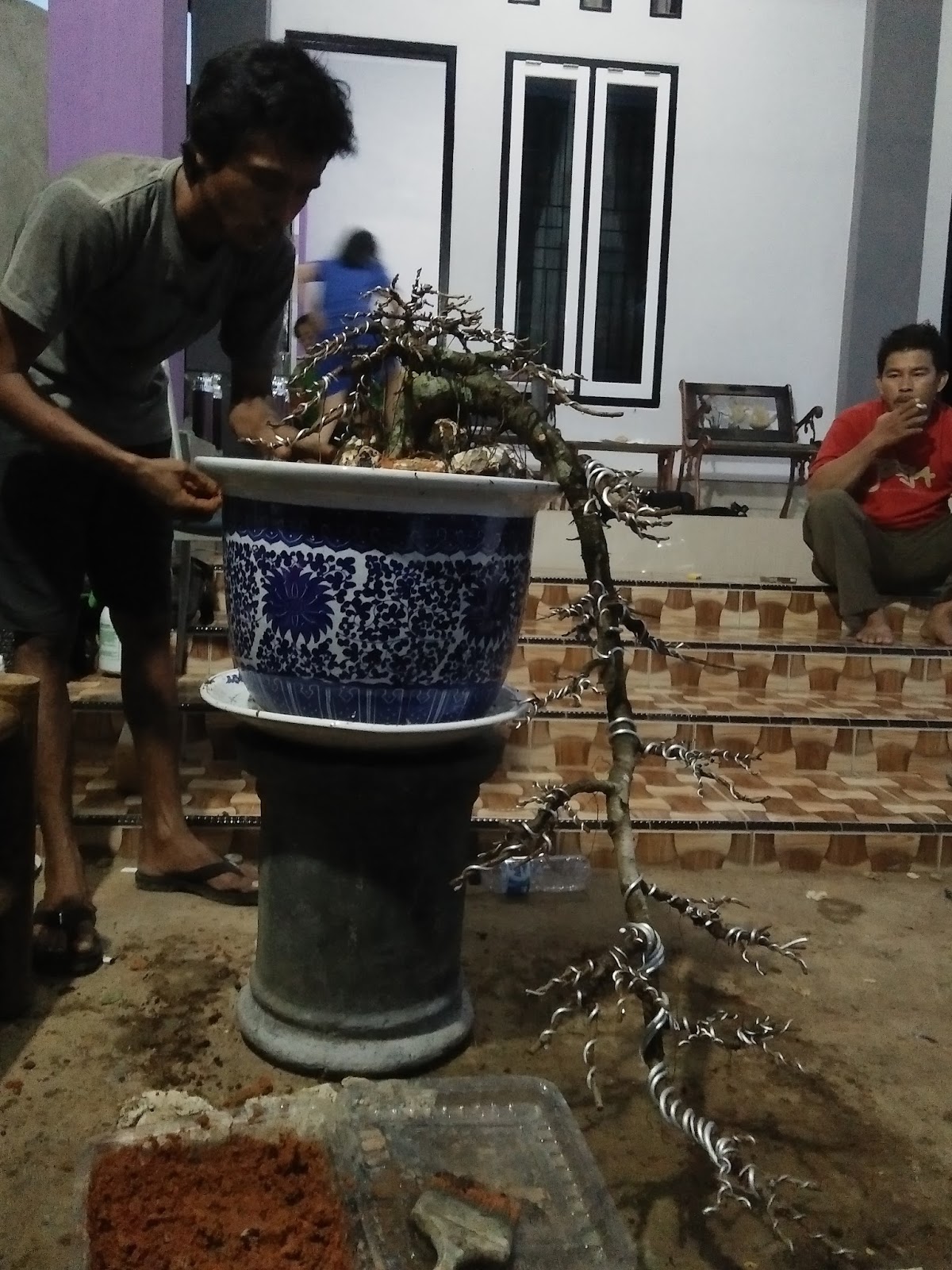 Detail Gambar Bonsai Gaya Air Terjun Nomer 40