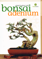 Detail Gambar Bonsai Kamboja Nomer 39