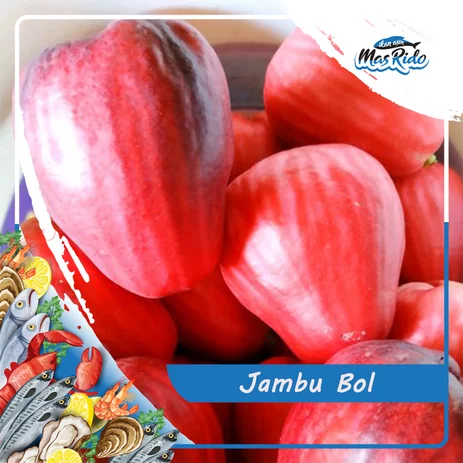 Detail Gambar Bool Merah Nomer 5