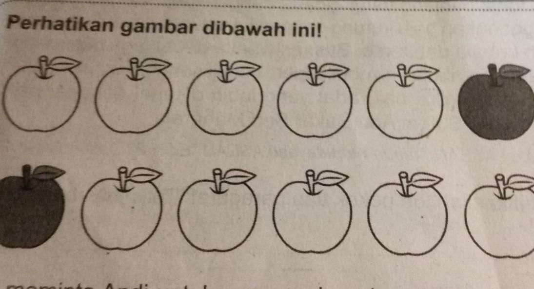 Detail Gambar Buah Apel Untuk Diwarnai Nomer 35