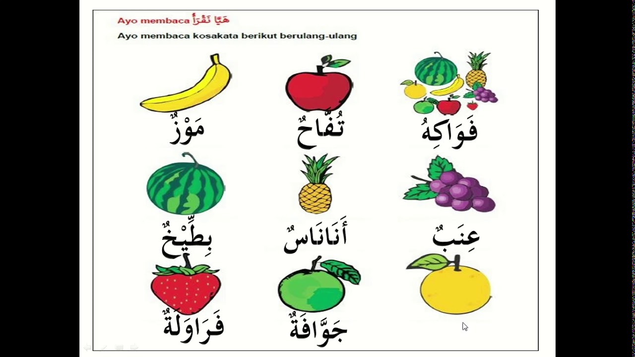 Detail Gambar Buah Bahasa Arab Nomer 4