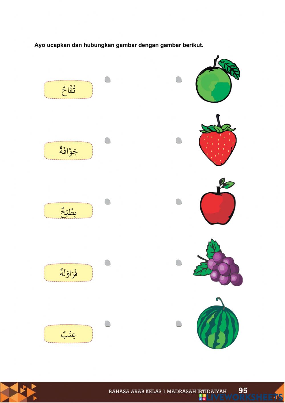 Detail Gambar Buah Bahasa Arab Nomer 43