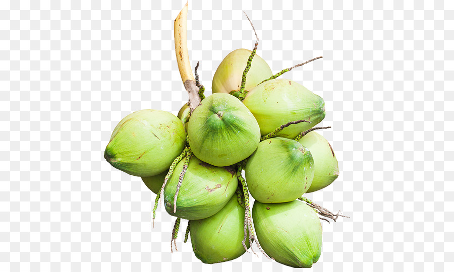 Gambar Buah Kelapa Png - KibrisPDR