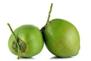 Detail Gambar Buah Kelapa Png Nomer 12