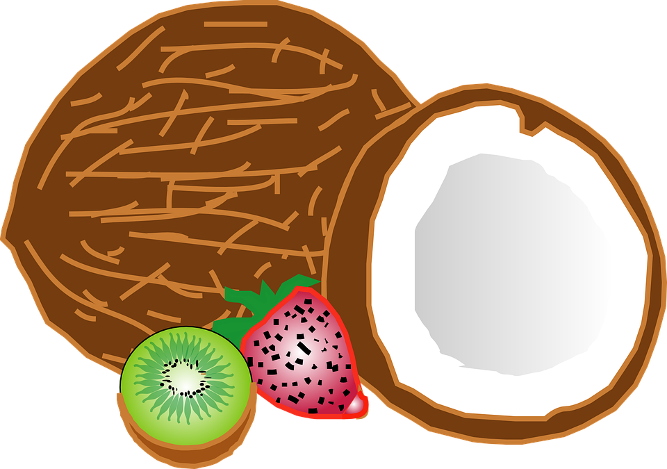 Detail Gambar Buah Kelapa Png Nomer 28