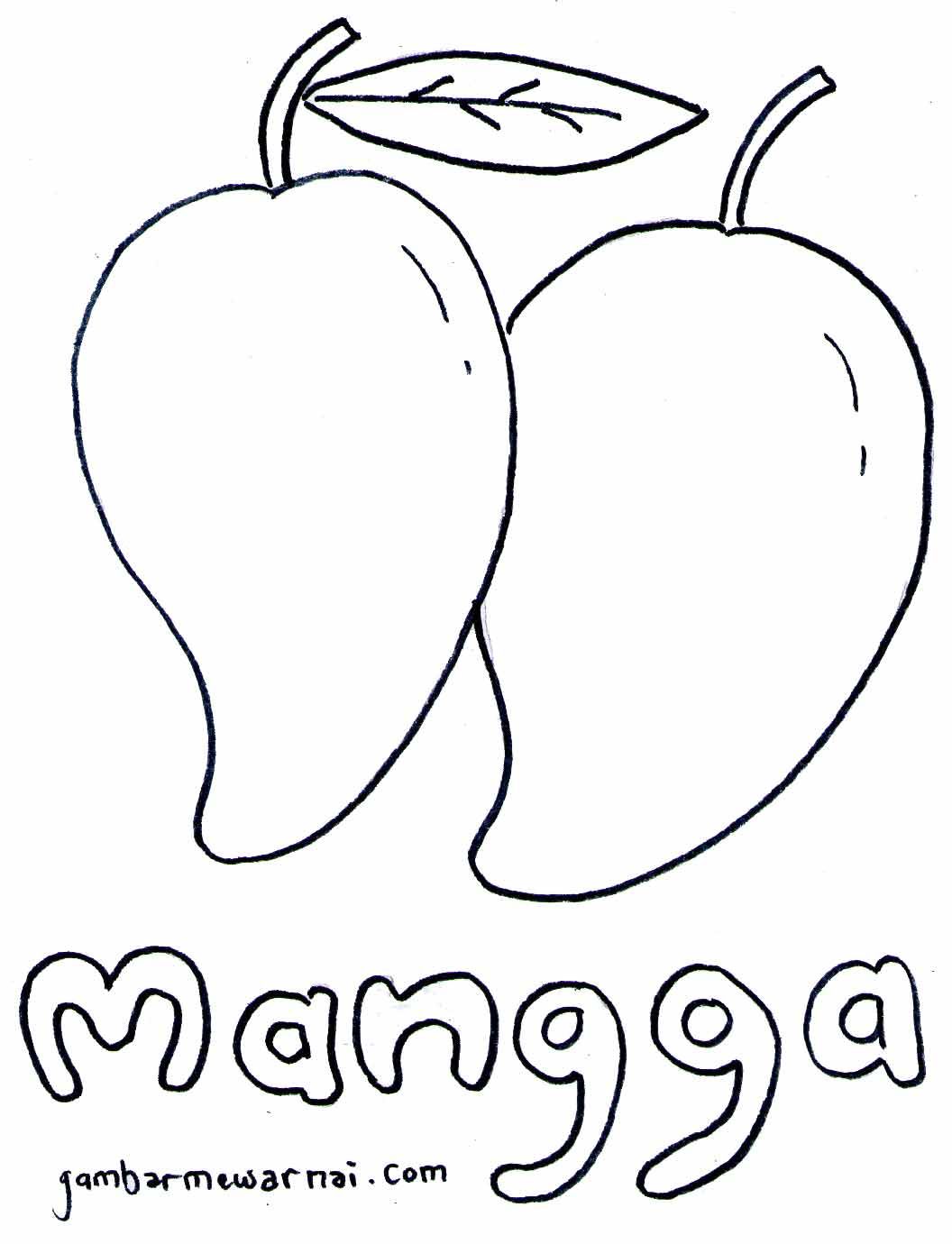 Detail Gambar Buah Mangga Untuk Di Warnai Nomer 2